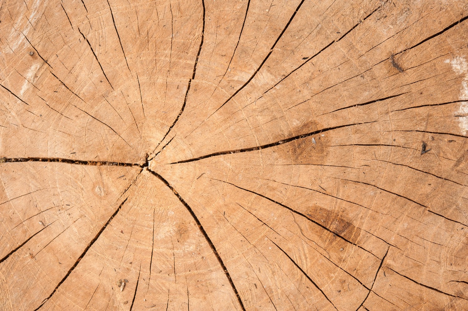 ¿Cómo y con qué se lija la madera?