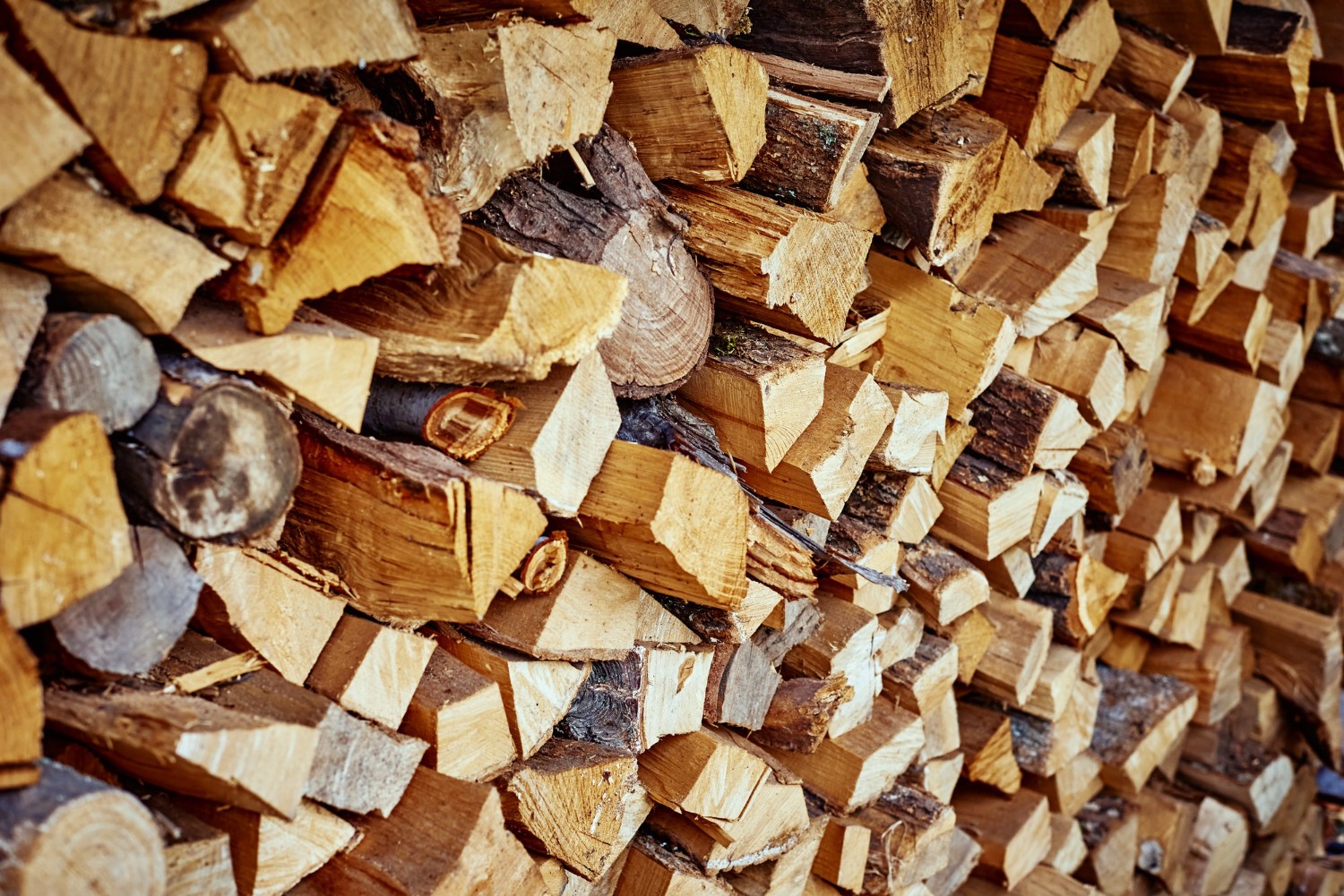 Producción de leña para chimeneas y para calefacción. ¿Qué máquinas elegir?